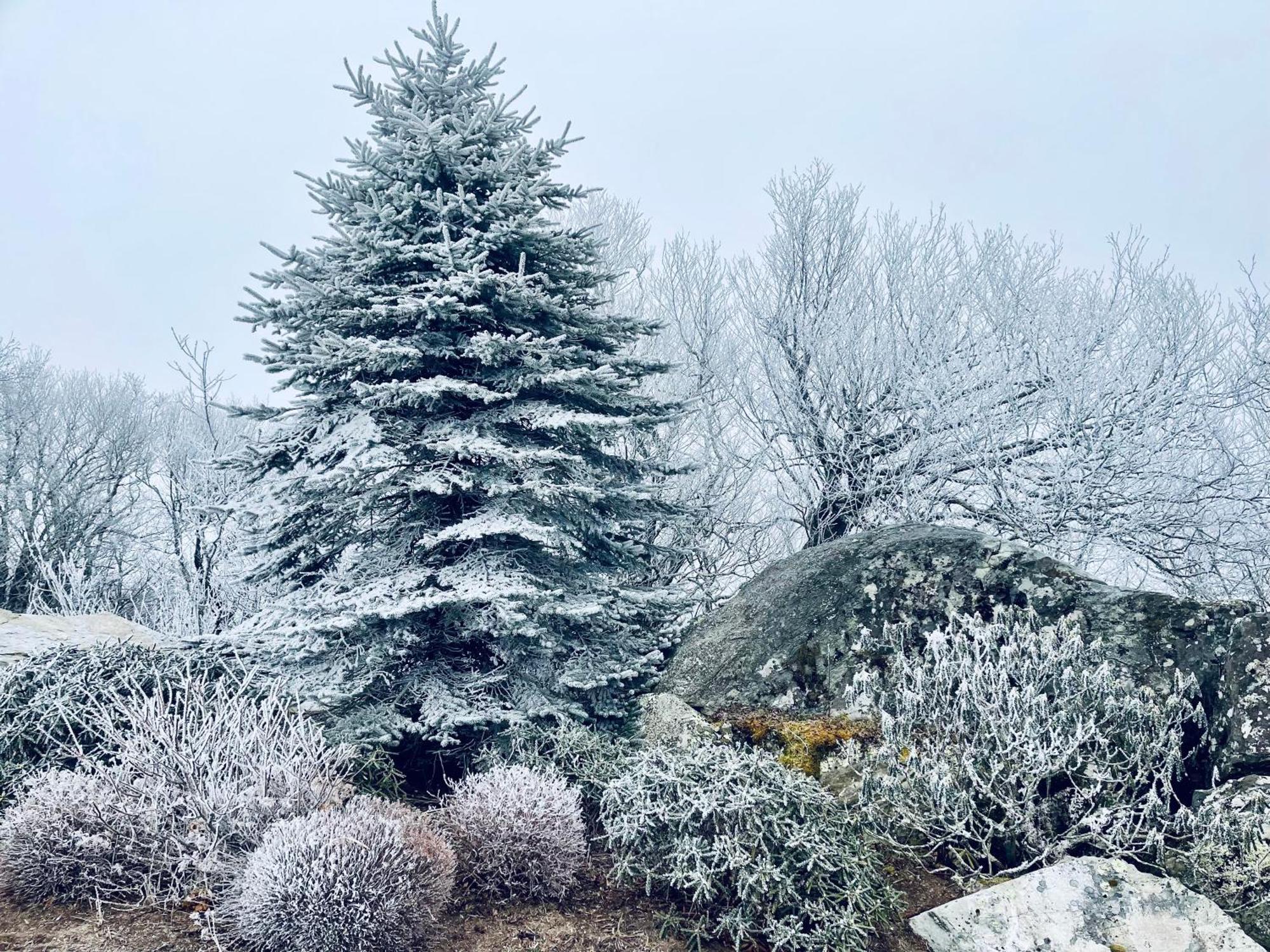 Bucket List Views Sugar Mountain Private Condo - 2Bed, 2Bath, Sleeps 6, Panoramic Views Of Mountains From Large Deck, Short Drive To Shopping, Restaurants, Cafes & Banner Elk Town Екстер'єр фото